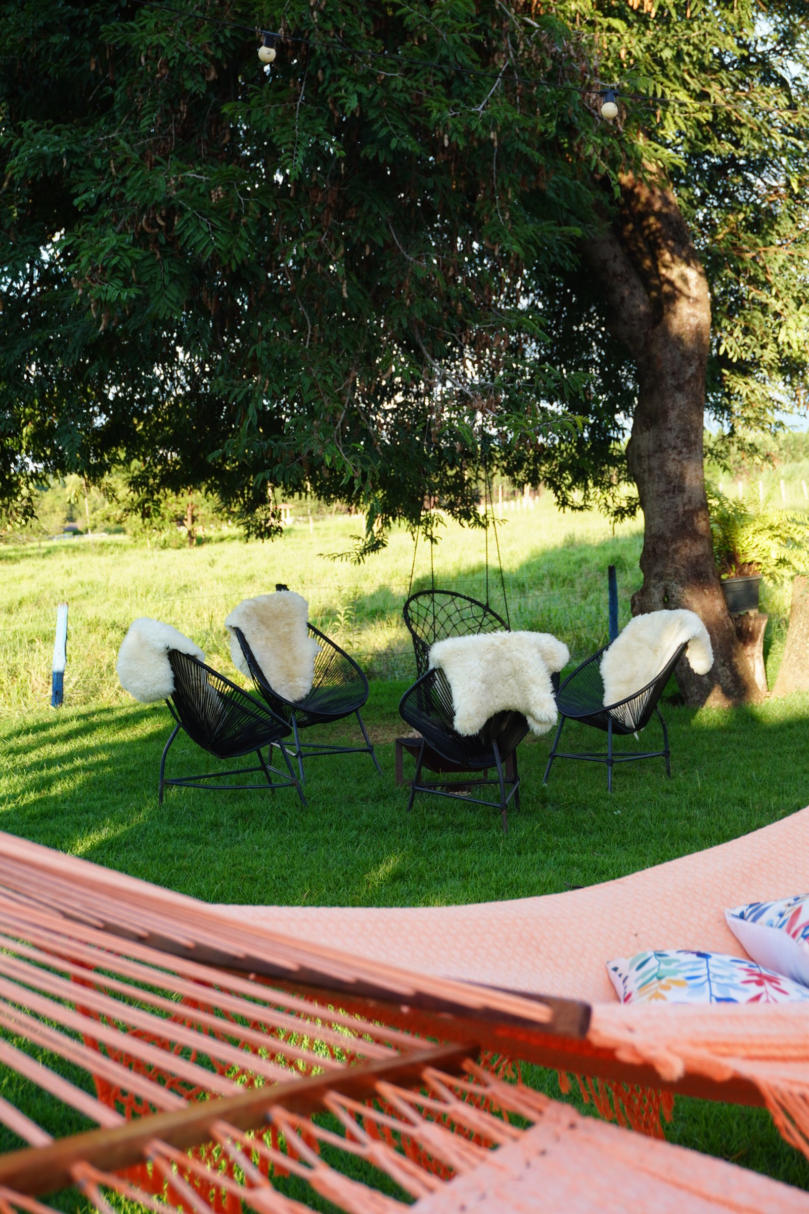 Fazenda Rosa Dourada